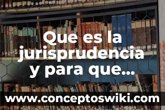 Qué es una jurisprudencia en materia aduanera 4 Que es la jurisprudencia y para que sirve