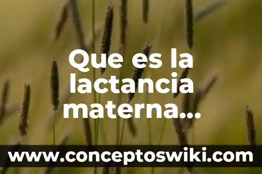 Que es la funcion materna para winnicott 4 Que es la lactancia materna animadas