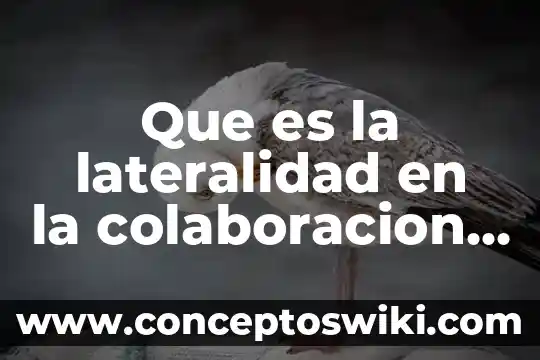 Que es la miopia en fisica 7 Que es la lateralidad en la colaboracion fisica