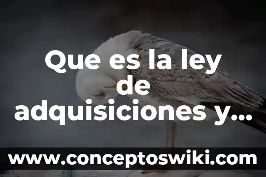 Que es el teatrola persona que escribe obras de teatro 6 Que es la ley de adquisiciones y obras publicas