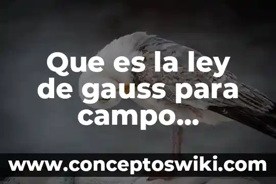 Qué es campo o espectro magnético 6 Que es la ley de gauss para campo magnetico