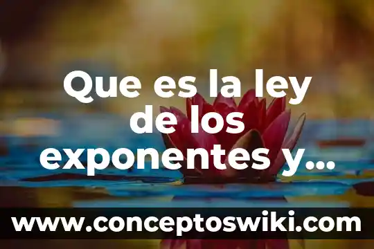 Qué es la estadística principales exponentes 5 Que es la ley de los exponentes y ejemplos