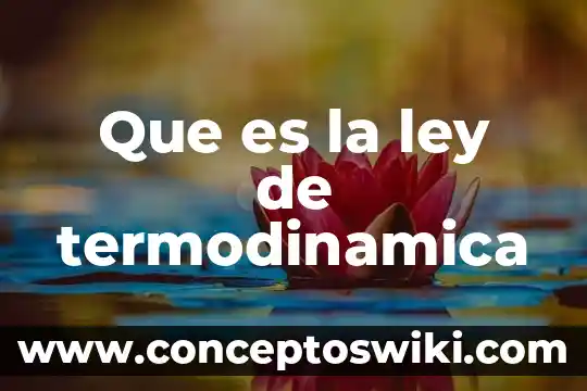 Que es un sensorial y tipos 3 Que es la ley de termodinamica