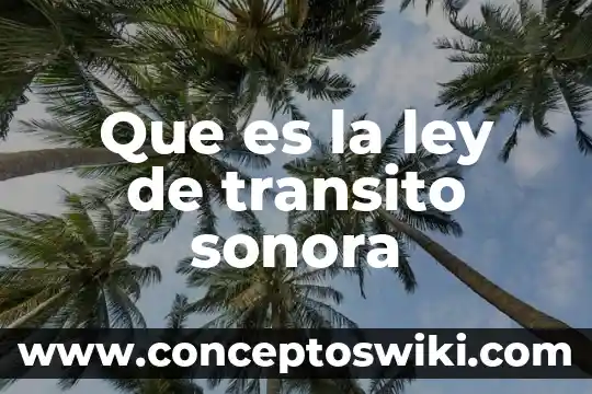 Que es bienestar social de sonora 7 Que es la ley de transito sonora