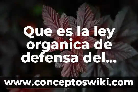 Qué es la química orgánica 5 Que es la ley organica de defensa del consumidor