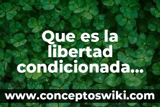 Que es un recibo de dinero para mexico legalmente 8 Que es la libertad condicionada Mexico