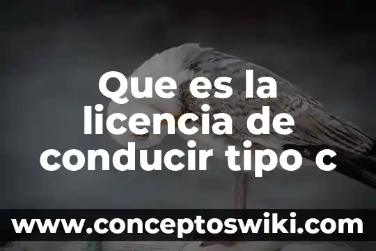 Que es una camara aps c 7 Que es la licencia de conducir tipo c