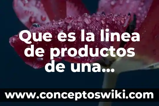 Que es d en una linea 8 Que es la linea de productos de una empresa
