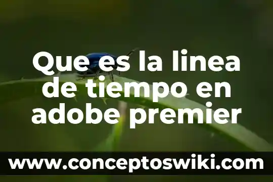 Que es linea de dinero en bet365 nba 5 Que es la linea de tiempo en adobe premier
