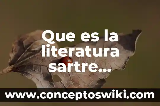 Que es informativoen literatura 8 Que es la literatura sartre descargar