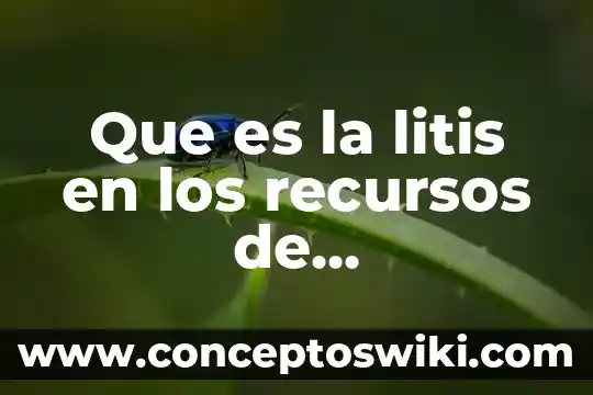 Proyectos ti que es 4 Que es la litis en los recursos de impignacion