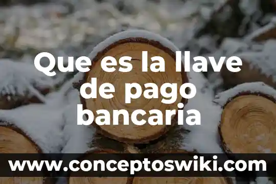 Pago bimestral que es 3 Que es la llave de pago bancaria