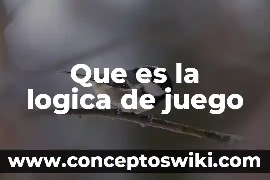 Que es la logica en un argumento 8 Que es la logica de juego