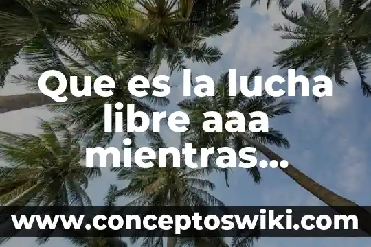 Que es espíritu de lucha definición 4 Que es la lucha libre aaa mientras luchan