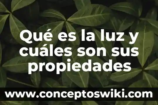 Qué es un número primo y cuáles son sus compuestos 6 Qué es la luz y cuáles son sus propiedades