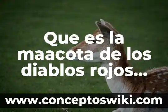 Qué es bicg latam mexico 4 Que es la maacota de los diablos rojos del mexico