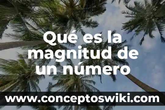 Qué es una magnitud en la matemática 7 Qué es la magnitud de un número