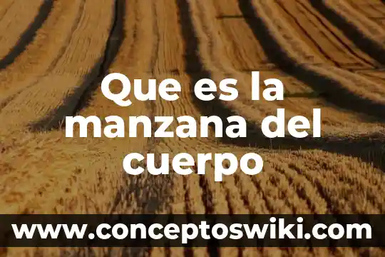 Número de manzana inegi que es 8 Que es la manzana del cuerpo