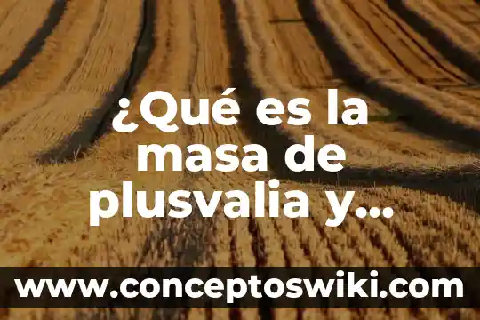 Que es el centro de gravedad respecto a la masa 6 ¿Qué es la masa de plusvalia y cómo se escribe?