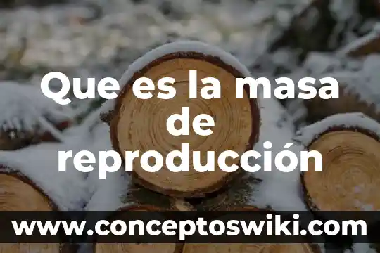 Que es el centro de gravedad respecto a la masa 5 Que es la masa de reproducción