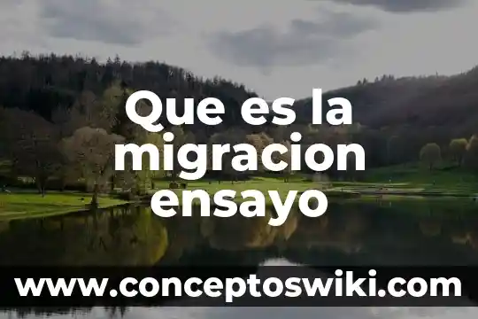 Que es el concepto migracion 5 Que es la migracion ensayo