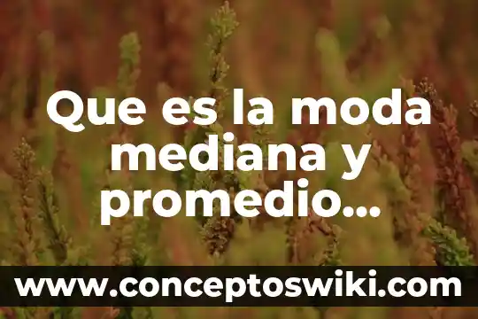 Qué es una empresa mediana ejemplos 3 Que es la moda mediana y promedio estadistica