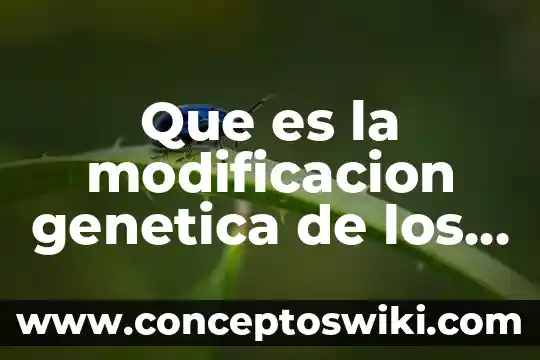 Qué es la presión osmótica en alimentos 5 Que es la modificacion genetica de los alimentos