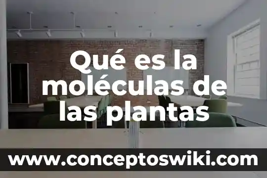 Que es un regulador de crecimiento en plantas 7 Qué es la moléculas de las plantas