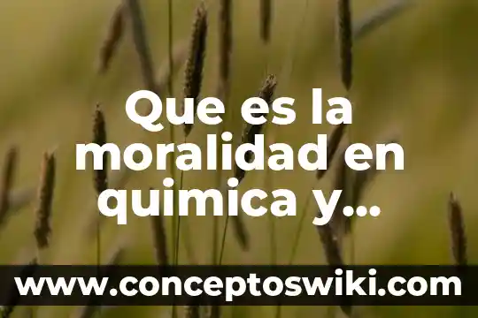 Qué es la calidad de vida y qué lo determina 7 Que es la moralidad en quimica y como se determina