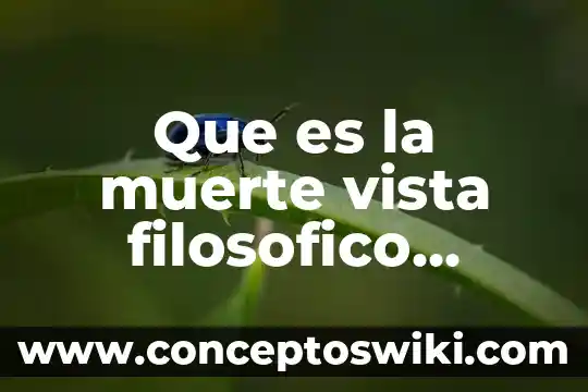 Pensamiento filosófico y político qué es 5 Que es la muerte vista filosofico ensayo
