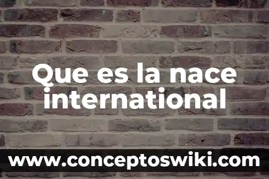 Que es international standard shipping 3 Que es la nace international