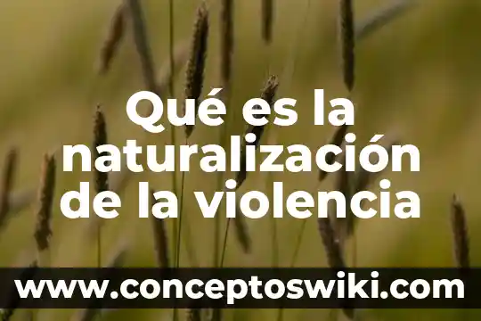 Que es un proyectos mvc 7 Qué es la naturalización de la violencia