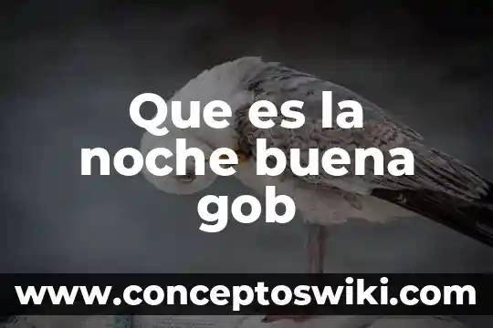 Mansana para que es buena y que vitaminas aporta 4 Que es la noche buena gob