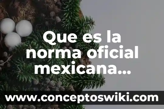 Que es la cruz roja mexicana 8 Que es la norma oficial mexicana fisioterapia