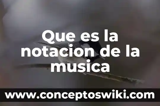 Que es producto musica electronica y que significa dj 7 Que es la notacion de la musica