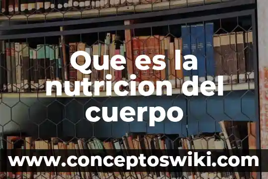 Que es un teselado definicion 6 Que es la nutricion del cuerpo