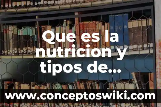 Que es la escenografia y sus tipos 6 Que es la nutricion y tipos de nutricion