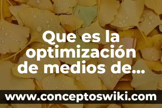 Que es optimización en excel 7 Que es la optimización de medios de gestión ambiental