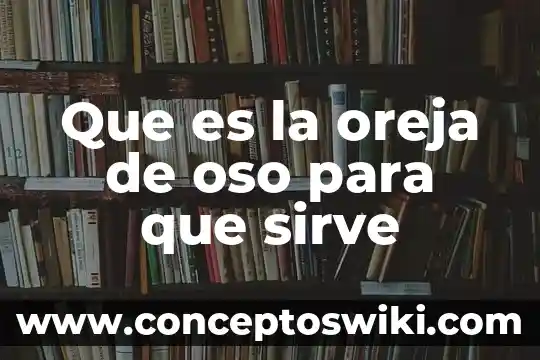 Que es la loapf y para que sirve 3 Que es la oreja de oso para que sirve