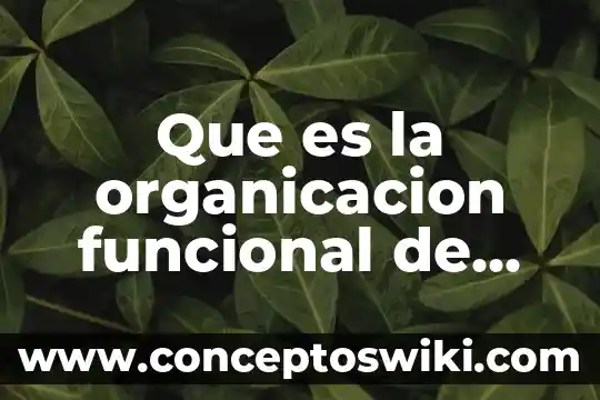 Qué es una dependencia funcional parcial 7 Que es la organicacion funcional de los elemenos