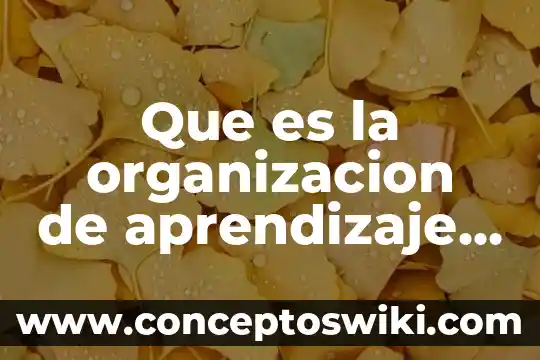 Qué es una barrera de aprendizaje 3 Que es la organizacion de aprendizaje de una empresa