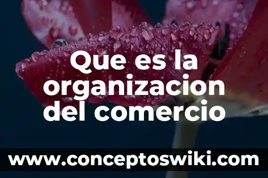 Que es comercio en el codigo de comercio 3 Que es la organizacion del comercio