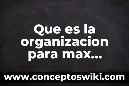 Max weber ciencias sociales que es 6 Que es la organizacion para max weber