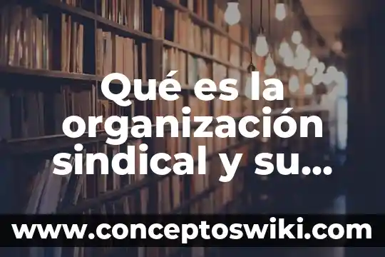 Que es el maltrato animal con finalidad de divercion 8 Qué es la organización sindical y su finalidad