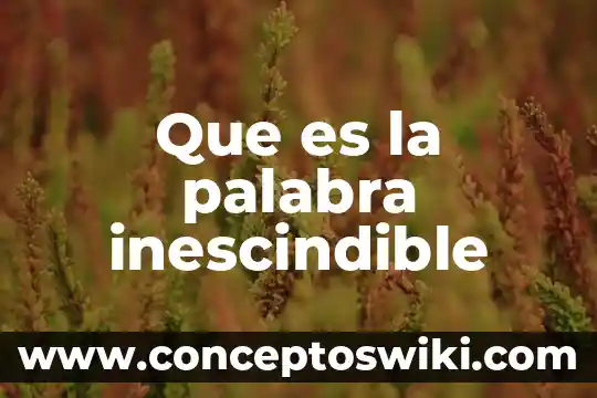 Qué es la palabra lepera 8 Que es la palabra inescindible