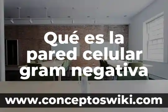 Que es la membrana celular citoplasma y nucleo 8 Qué es la pared celular gram negativa