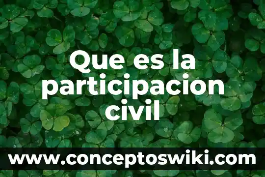 Participación controladora que es 7 Que es la participacion civil