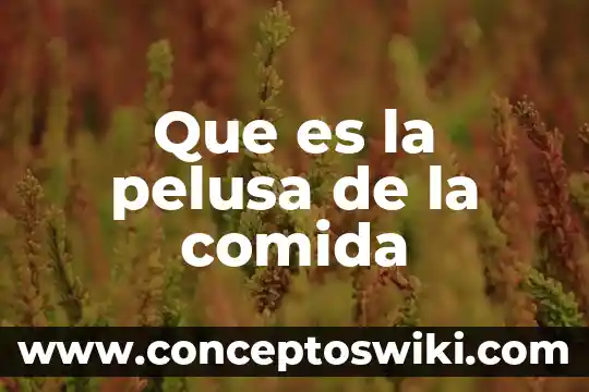 Animalito que es provocado por las bacterias de la comida 3 Que es la pelusa de la comida