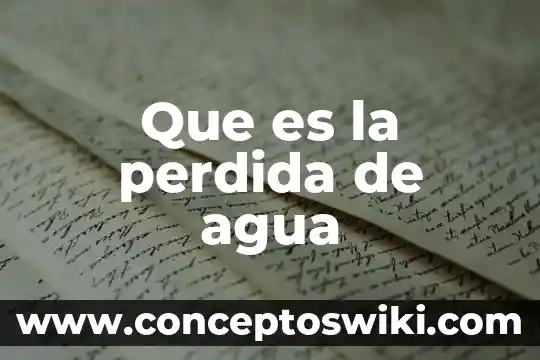 Que es la pérdida de inserción en redes 5 Que es la perdida de agua