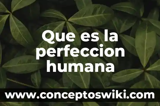 Que es la voluntad humana 7 Que es la perfeccion humana